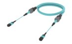 UKXMPMPCD [ARM TRUNK 12F MPO12F _ MPO12F MM OM4]