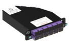 760087742 | RFE-MOD-024-5K-MPO-LC02-KVI [760087742-3LT]