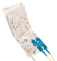 760235250 | COWO-S102 [COWO_S122_image3_blue_jpg]