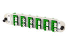 FPX-AF-24APR0Z [FPX_24APL08_putty_green_jpg]