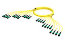 A3GMXMXCL [144f_MM_Trunk_yellow_jpg]