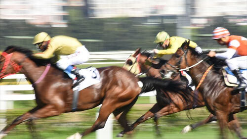 Saratoga Race Course