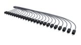 CCABG | IP6A-24LUTP-O1S-O2S [24-Outlet-RS]
