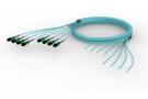 U3XQZUCTU [TRUNK MPO08 64F MPO-STUB APC OM4]