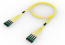 UGGRXRX8U [TRUNK MPO16 64F MPO-MPO SM]