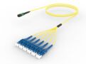 URGMPLUUD [ARRAY 12F MPO - LU SM]