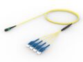 UQGQPLUF8 [ARRAY 8F MPO - LU SM]