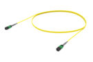 AQGQPQPF8 [ARRAY 8F MPO - MPO SM]