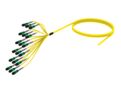 U3GQXUCTM [TRUNK MPO08 144F MPO - STUB SM]