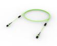 UGVQPQXT8 [TRUNK MPO08 8F MPO - MPO MM OM5]
