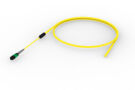 U3GQXUCT8 [TRUNK MPO08 8F MPO - STUB SM]