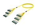 U3GQPQXTL [TRUNK MPO08 96F MPO - MPO SM]