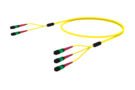 URG2P2DBH [ARRAY 2X3 48F MPO 24F  - MPO 24F SM]