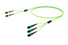 URV2PRVBH [ARRAY 2X3 48F MPO 24F  - MPO APC 16F MM OM5]