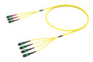 URG2DMPAH [ARRAY 3X4 48F MPO 24F  - MPO 12F SM]