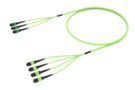 UQVRVMPAH [ARRAY 3X4 48F MPO APC 16F  - MPO 12F MM OM5]