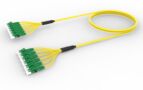 UNGLGLGCD [DBL RUGGED 12F LC APC-LC APC SM]