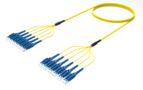 U4GLULUCD [DBL RUGGED 12F LU-LU SM]