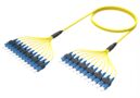 1685010 | FPM-07/7-AF031M-39/25 [DBL RUGGED 12F SC UPC-SC UPC SM]