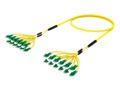 U4GLALACF [DBL RUGGED 24F LC APC-LC APC SM]
