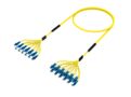 F4WLCLCAF [DBL RUGGED 24F LC UPC-LC UPC SM]