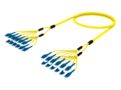 U4GLULUCF [DBL RUGGED 24F LU-LU SM]