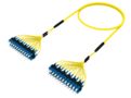 1697435 | FPM-07/7-AT046M-39/25 [DBL RUGGED 24F SC UPC-SC UPC SM]