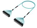 U4XSCSCCF [DBL RUGGED 24F SC-SC MM OM4]