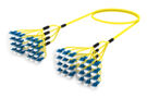 ALGLCLCCH [DBL RUGGED 48F LC UPC-LC UPC SM]