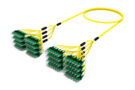 ULGSASACH [DBL RUGGED 48F SC APC-SC APC SM]