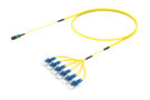 U4GMPLFCD [RUGGED 12F MPO-LC UPC SM]
