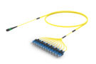 ULGMXSCCD [RUGGED 12F MPO-SC UPC SM]