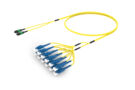 U4GMPLUCF [RUGGED 24F MPO-LU SM]