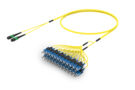 ULGMPSCCF [RUGGED 24F MPO-SC UPC SM]