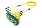 U4GMXSACG [RUGGED 36F MPO-SC APC SM]