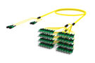 ULGMPSACH [RUGGED 48F MPO-SC APC SM]