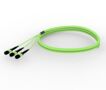 U3VMXUCCG [TRUNK 36F MPO-STUB MM OM5]