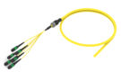 UHGMXUCAK [TRUNK ARM 72F MPO-STUB SM]