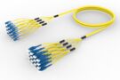1682372 | FPM-07/K-AT022M-25/39 [DBL RUGGED 32F SN-LU]