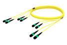 UKGMPMXCH [48f_SM_Trunk_yellow_jpg]