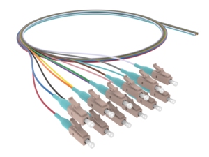 760249511 | OCP-L5-02MGLEN-XX-(12COL/D)