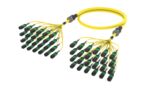 UHGQXQXTN [ARM TRUNK 192F MPO8F -MPO8F SM]