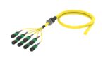 UHGQXUCTU [ARM TRUNK 64F MPO8F - UC SM]