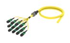 UHGMXUCCM [ARM TRUNK 144F MPO12F - UC SM]