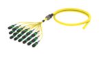 UKGQXUCTM [ARM TRUNK 144F MPO8F - UC SM]