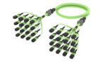 UKVMXMXCN [ARM TRUNK 192F MPO12F - MPO12F MM OM5]
