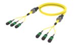 UKGQXQXTF [ARM TRUNK 24F MPO8F - MPO8F SM]