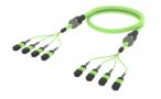 UKVQXQXTS [ARM TRUNK 32F MPO8F - MPO8F MM OM5]