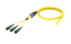 UHGMXUCCG [ARM TRUNK 36F MPO12F - UC SM]