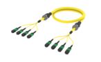 UKGMXMXCH [ARM TRUNK 48F MPO12F - MPO12F SM]